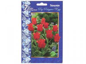Купить Тюльпан Ред Райдинг Худ (7шт) ботанический (красный)
