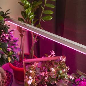«Фитолампа - светильник ультрафиотелетовая для растений светодиодная линейная ЭРА FITO-14W-Т5-N» - фото 2