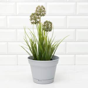«Горшок цветочный Mint 1,2л d150мм, серый» - фото 1