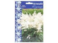 Купить АСТИЛЬБА Глэдстоун (1шт) жемчужно-белые, собраны в плотные соцветия